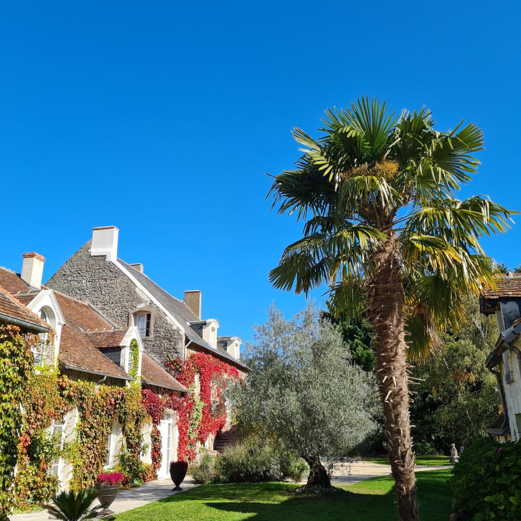 Bed and Breakfast Domaine De La Blonnerie Feings  Екстер'єр фото