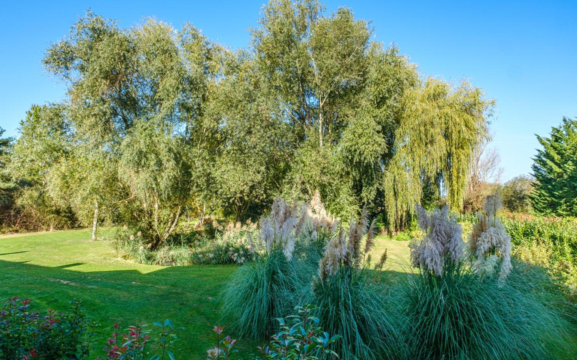 Bed and Breakfast Domaine De La Blonnerie Feings  Екстер'єр фото